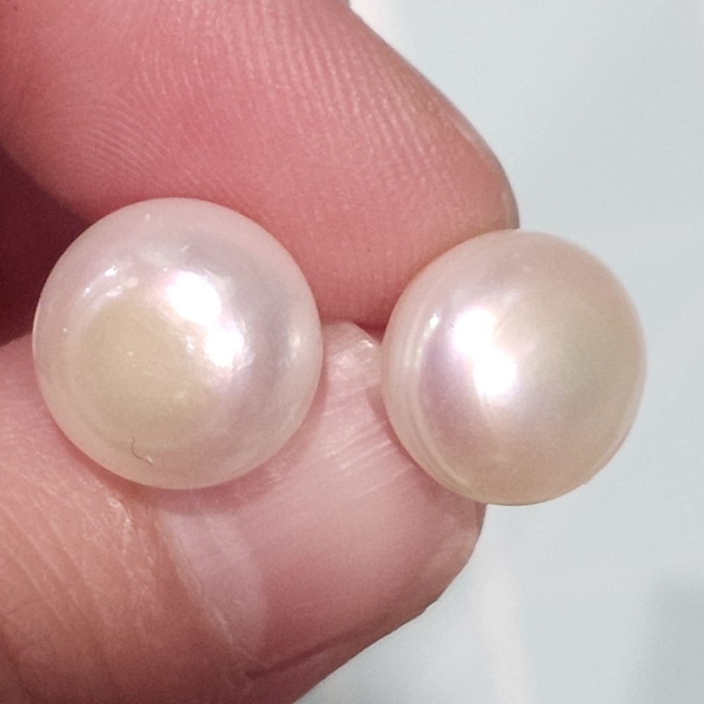 NWT JTV White Cultured Freshwater Pearl Rhodium On Sterling Silver Stud Earring